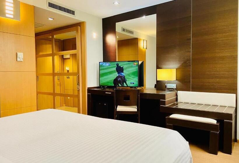 اتاق استاندارد با دسترسی به اسپا, Oca Palacio De La Llorea Hotel & Spa