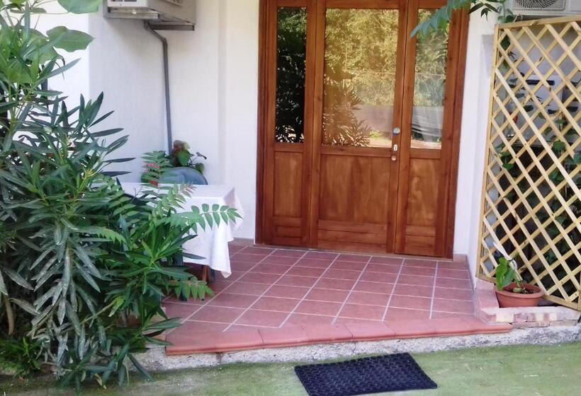 سوییت جونیور, A Casa Di Nené