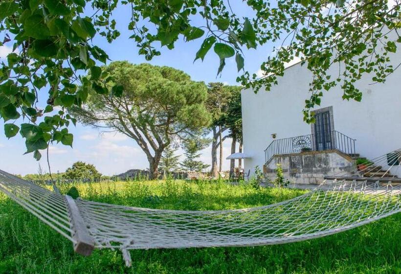 ガーデンビューのスタンダードワンルーム, Masseria Pozzo Tre Pile