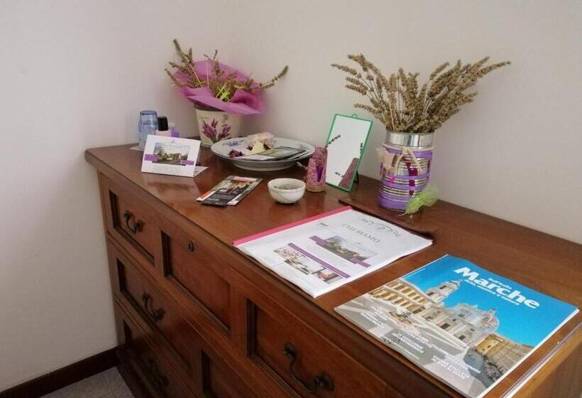 اتاق لوکس با چشم‌انداز باغ, Amor Di Lavanda