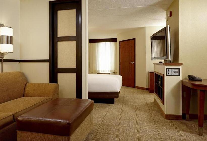 스탠다드 룸 더블 침대 2개, Hyatt Place Nashville Airport