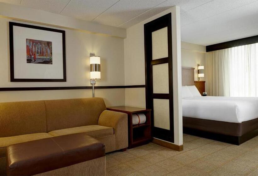 스탠다드 룸 킹사이즈 침대, Hyatt Place Nashville Airport
