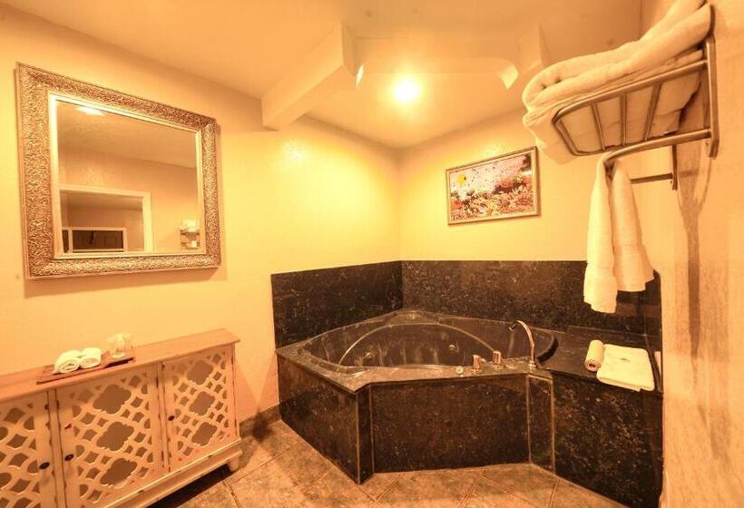 اتاق استاندارد با تخت بزرگ, Sandals Inn