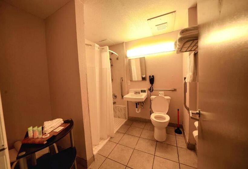 اتاق استاندارد برای معلولان, Sandals Inn