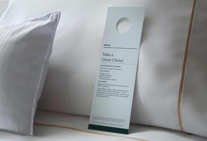 سوئیت اجرایی با تخت کینگ, The Westin Charlotte