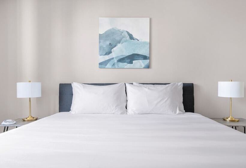 Apartamento Clássico 1 Quarto, Kasa Magnificent Mile Chicago