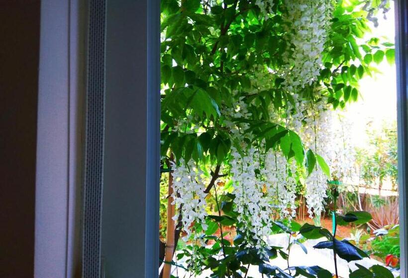 Студио Стандарт Вид на Сад, Aparthotel Viola