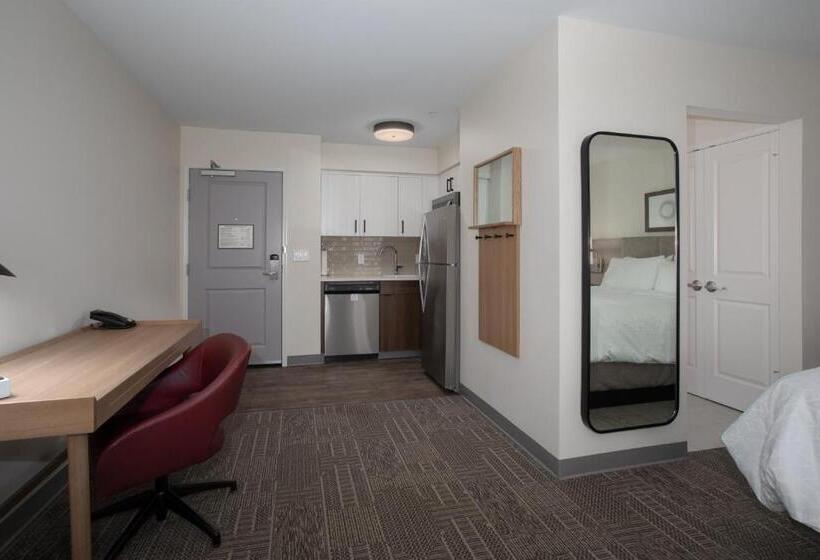 标准工作室, Staybridge Suites   Carson City   Tahoe Area, An Ihg
