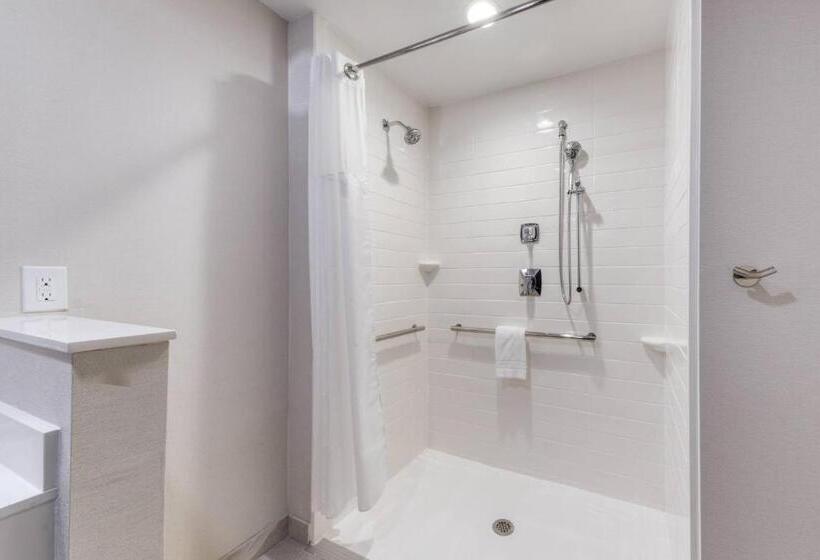 Номер Стандарт, Fairfield Inn & Suites By Marriott Charlotte Belmont