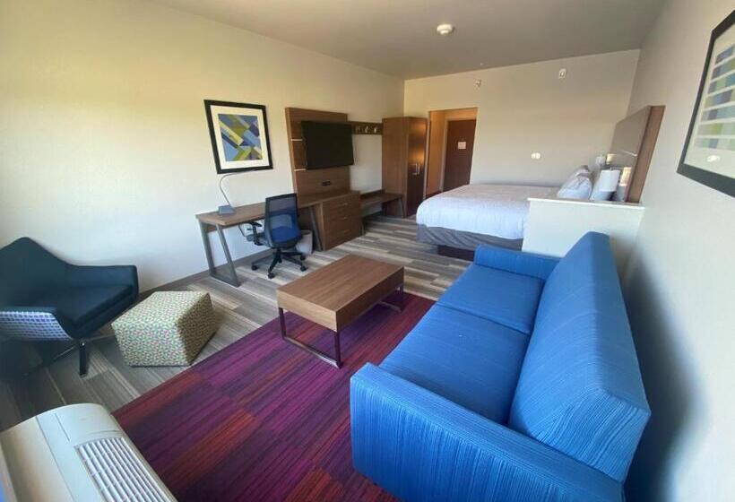 장애인을 위한 킹사이즈 침대 스탠다드 룸, Holiday Inn Express & Suites   Madison West   Middleton, An Ihg