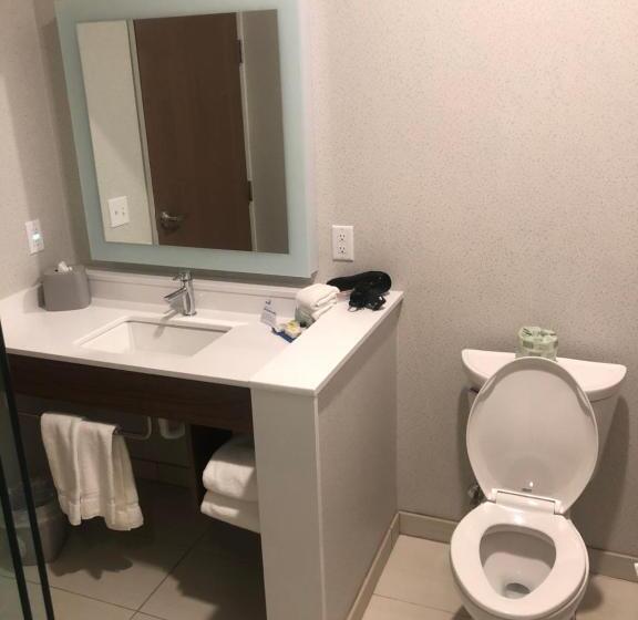스탠다드 룸 킹사이즈 침대, Holiday Inn Express & Suites   Madison West   Middleton, An Ihg