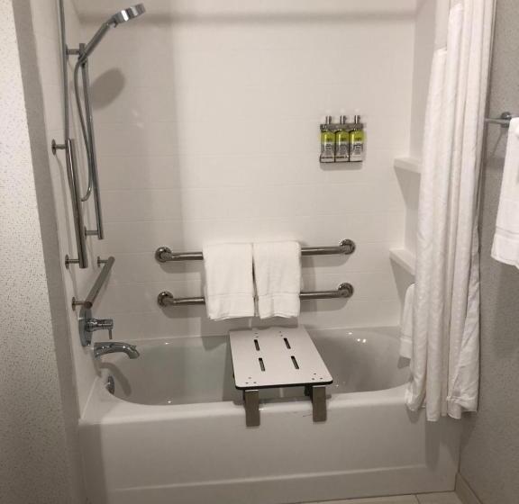 장애인을 위한 킹사이즈 침대 스탠다드 룸, Holiday Inn Express & Suites   Madison West   Middleton, An Ihg