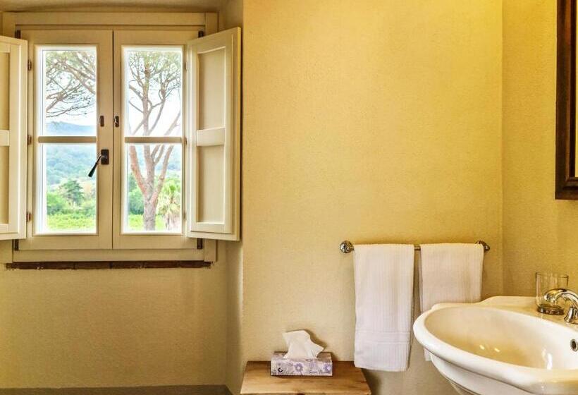 اتاق استاندارد با تخت بزرگ, Tenuta Santa Caterina