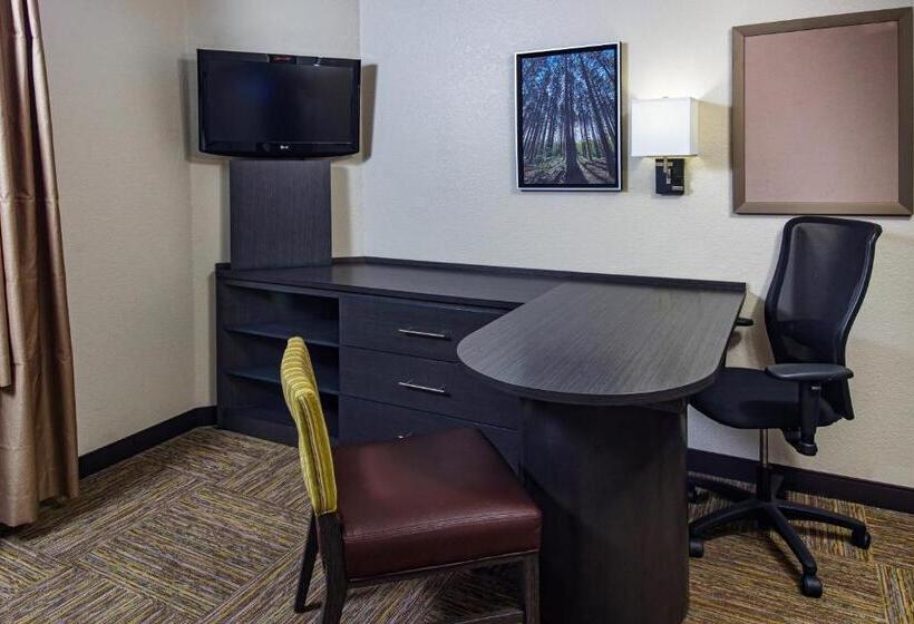 장애인을 위한 스탠다드 룸, Candlewood Suites Appleton, An Ihg
