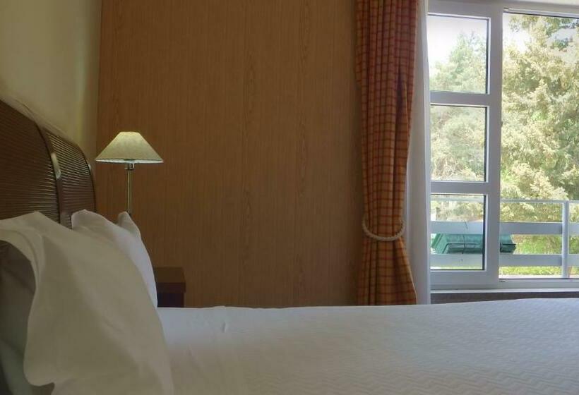 Номер Стандарт Трехместный, Golden Tulip Caramulo