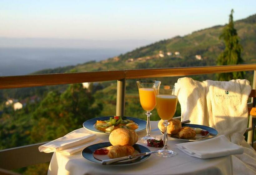 Номер Стандарт, Golden Tulip Caramulo