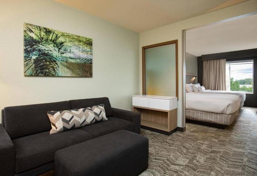 סוויטה, Springhill Suites Orlando Altamonte Springs/maitland
