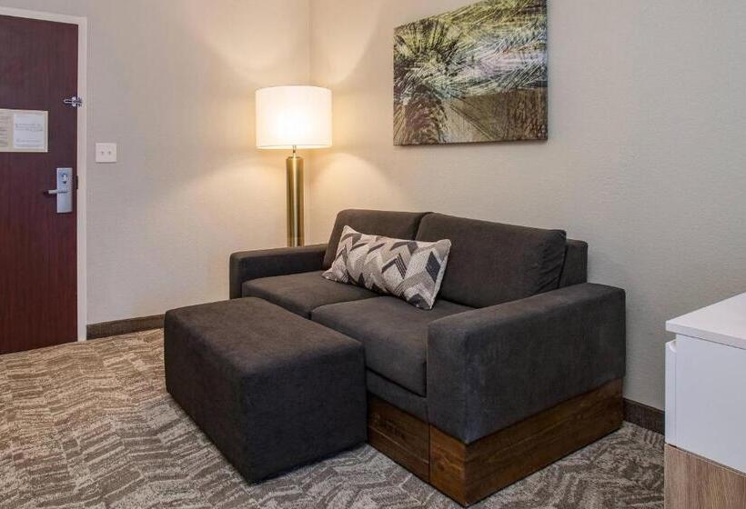 מיטת קינג בסוויטה, Springhill Suites Orlando Altamonte Springs/maitland