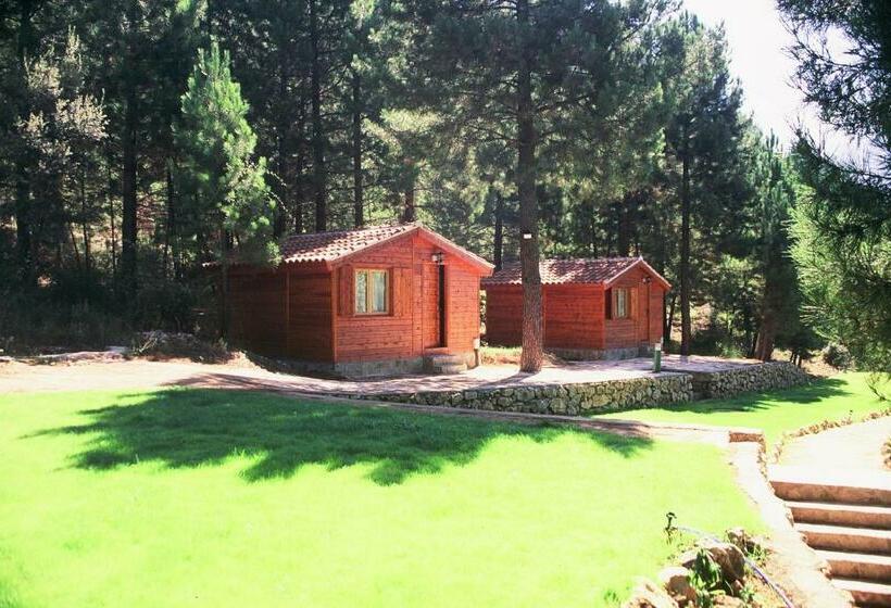 استودیوی استاندارد, Cabañas La Toma Del Agua