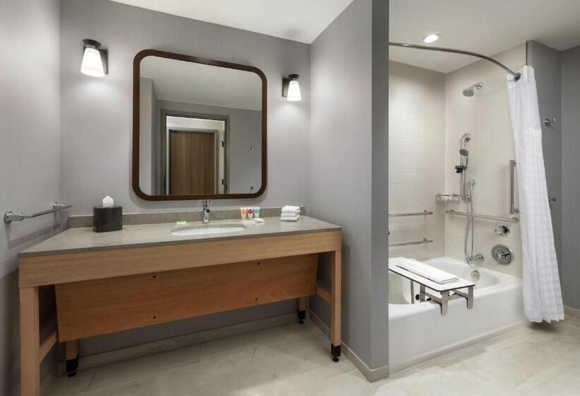 장애인을 위한 킹사이즈 침대 스탠다드 룸, Hyatt Place National Harbor