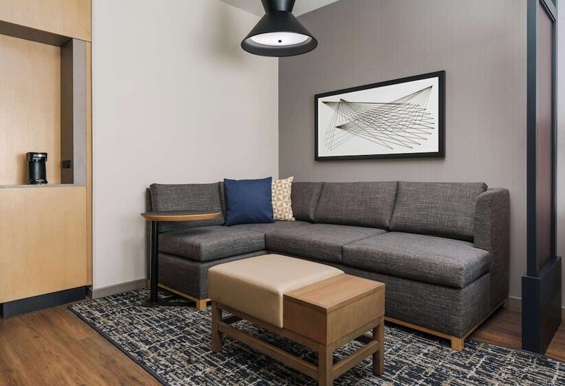 장애인을 위한 스위트, Hyatt Place National Harbor