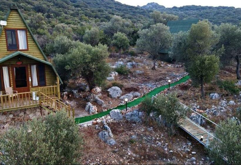 بنگله خانوادگی, Kaş Hi̇story Li̇manağzi