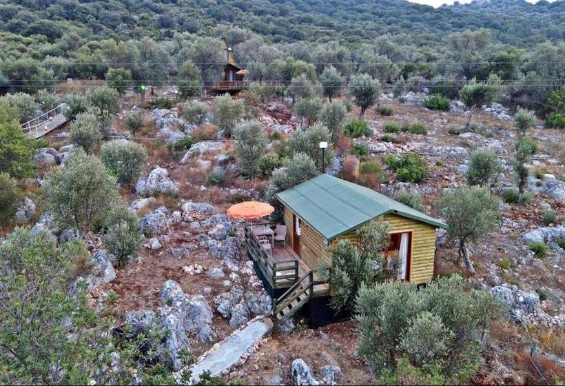 اتاق استاندارد, Kaş Hi̇story Li̇manağzi