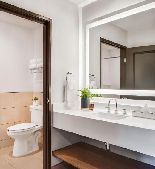 Номер Стандарт Кровать Кинг Адаптированный для Инвалидов, Ayres Hotel Vista Carlsbad