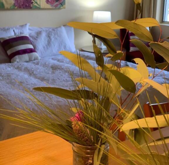 스탠다드 룸 킹사이즈 침대, Temora Motel