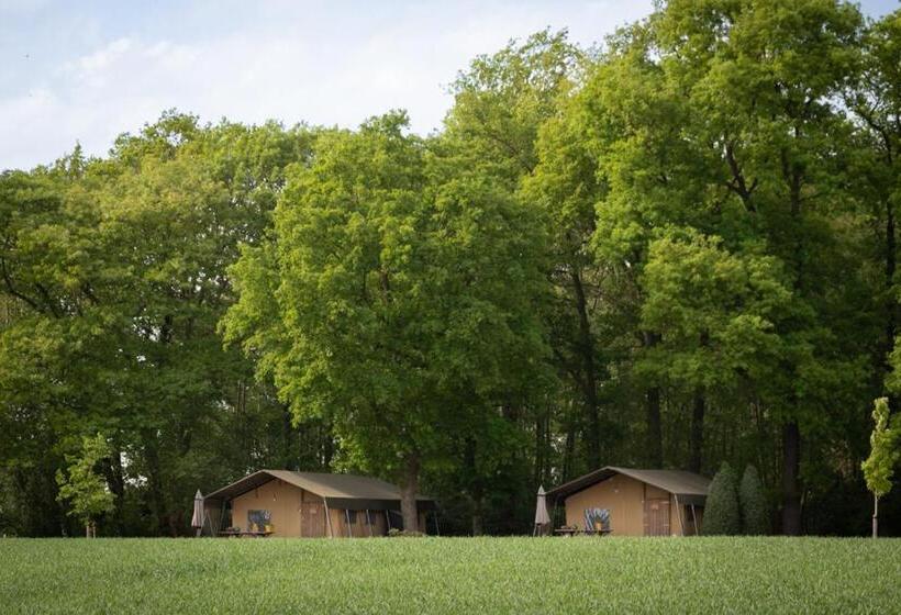 چادر با خدمات رفاهی استاندارد, Landrijk De Reesprong Boerderij