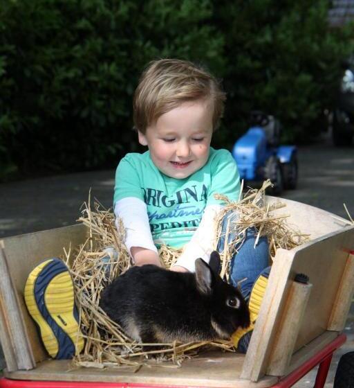 چادر با خدمات رفاهی استاندارد, Landrijk De Reesprong Boerderij