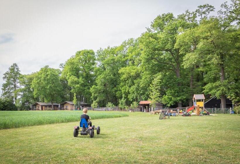 خانه 3 خوابه, Landrijk De Reesprong Boerderij