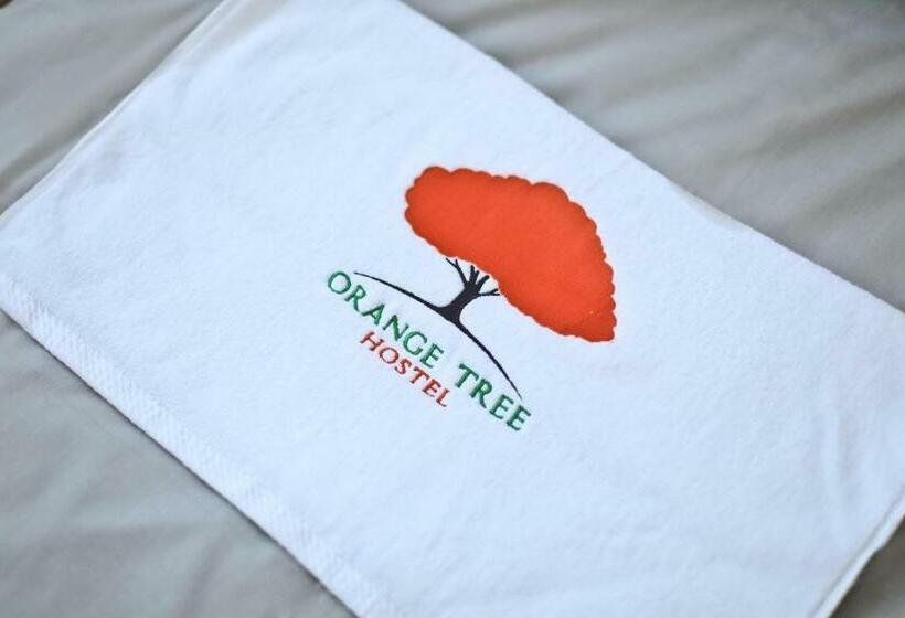 家庭间, Orange Tree
