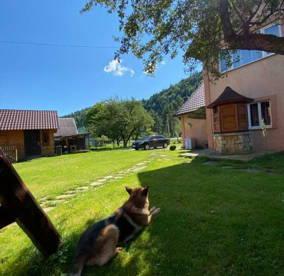 خانه 1 خوابه, Chalet зоряні ночі