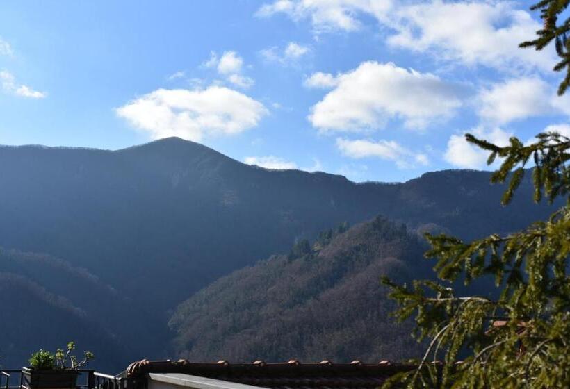 Семейный Номер, B&b Convivium