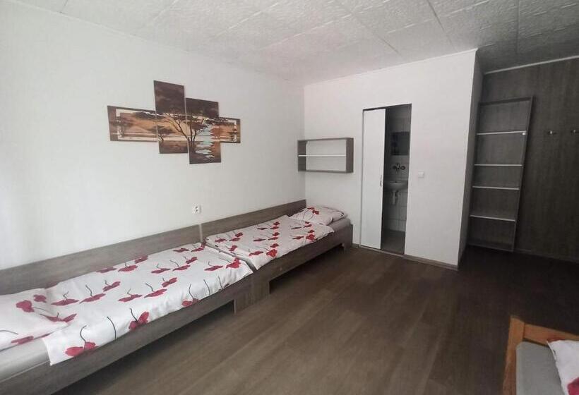 Pokój Standard Trzyosobowy, Motel šofér