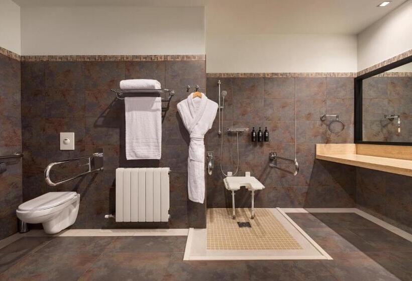 اتاق استاندارد با تخت بزرگ برای معلولان, Dolce by Wyndham Barcelona Resort