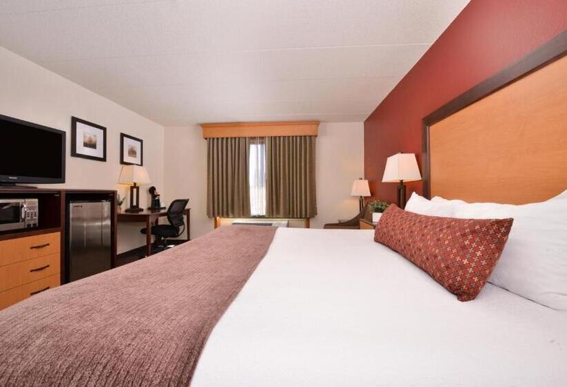 스탠다드 룸 킹사이즈 침대, Best Western Plus Sidney Lodge