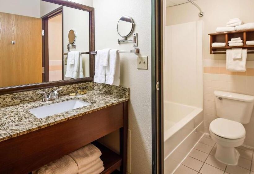 스탠다드 룸 킹사이즈 침대, Best Western Plus Sidney Lodge