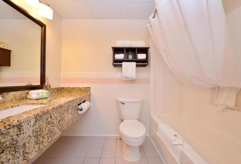 스위트, Best Western Plus Sidney Lodge