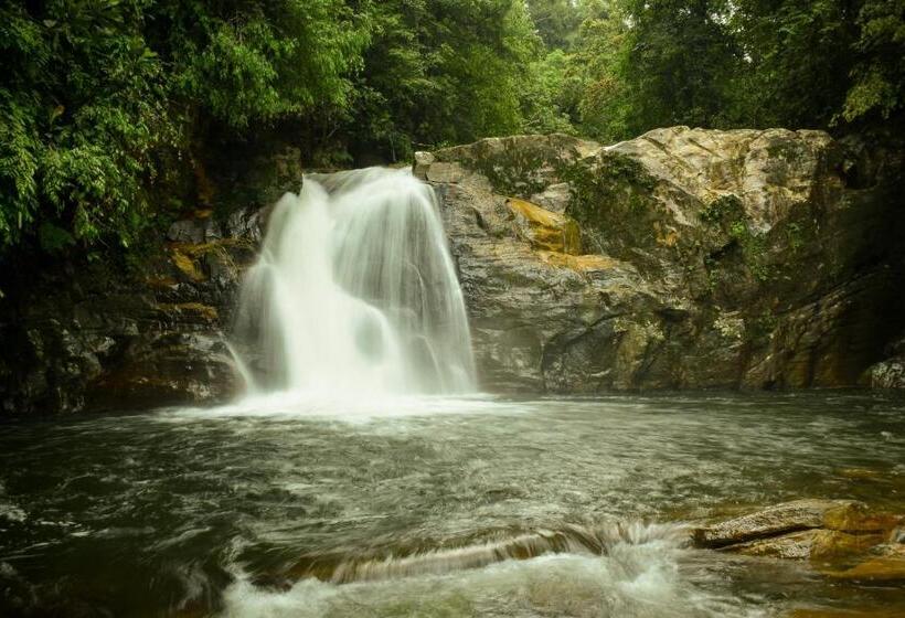 标准三人间, Sinharaja Forest Gate