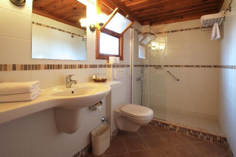 Номер Стандарт, Montana Pine Resort   All Inclusive