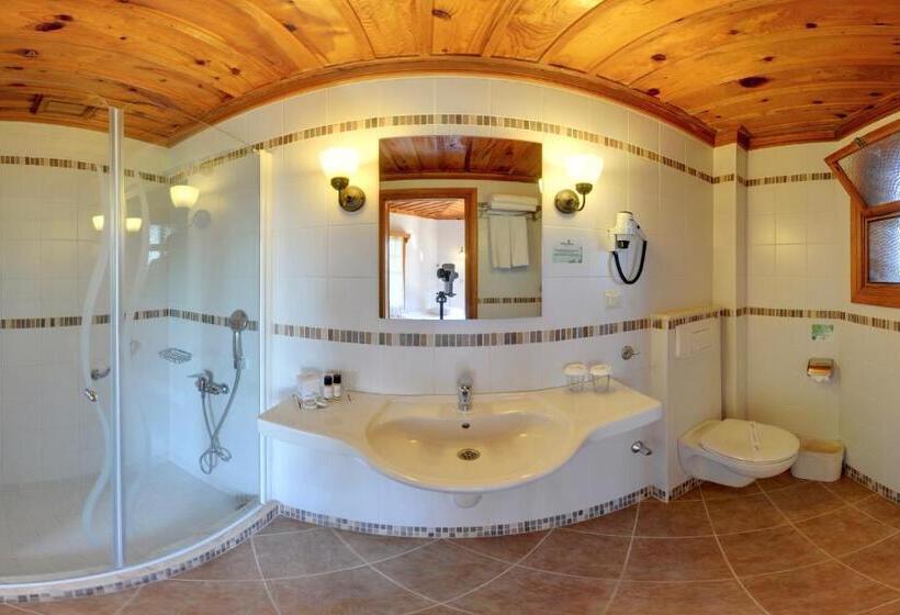 Номер Стандарт, Montana Pine Resort   All Inclusive