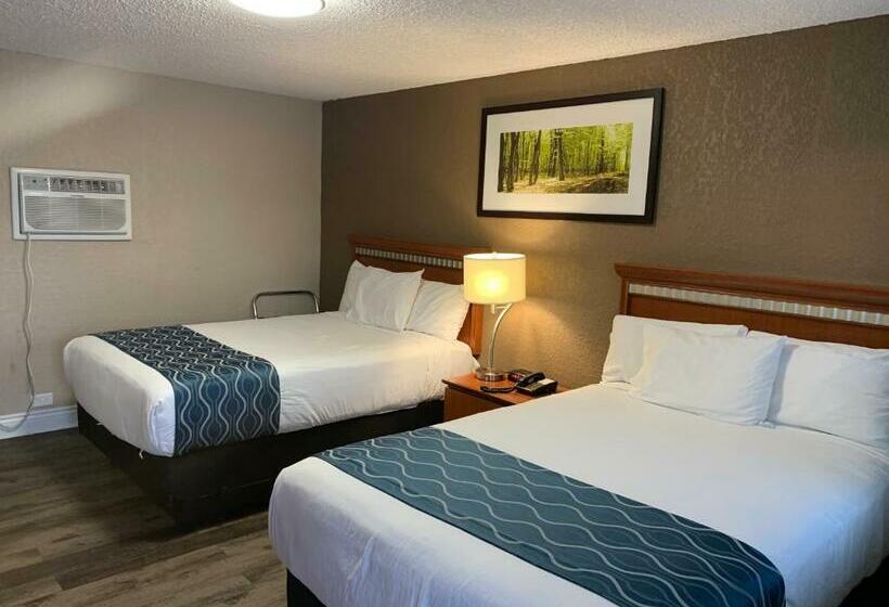 标准间, Champlain Motor Inn