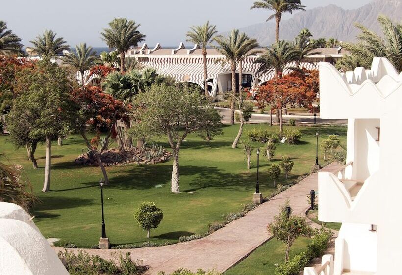 اتاق استاندارد یک نفره, Swiss Inn Resort Dahab