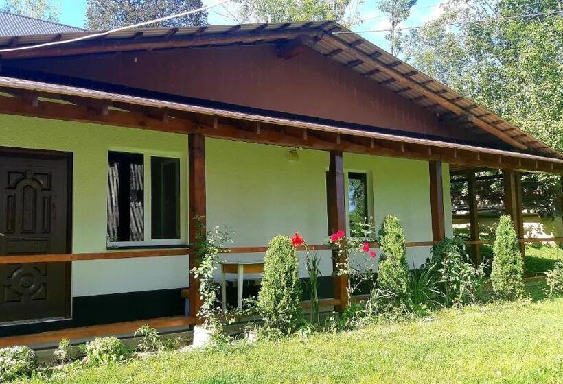 Номер Стандарт Четырехместный Совместный Санузел, Dacha Podobovets 127
