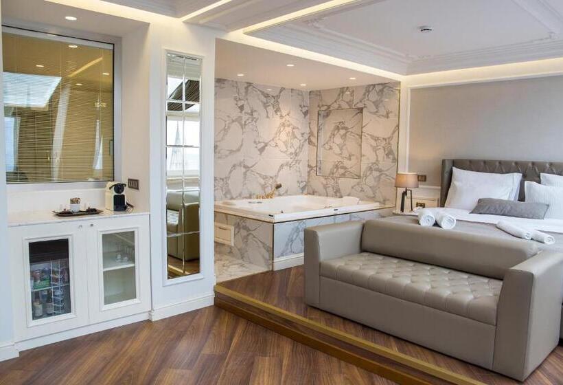 سوئیت با تخت بزرگ, Mina Hotel   Special Category