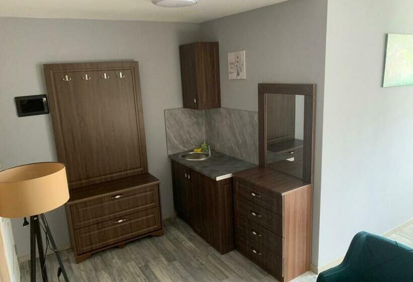 اتاق لوکس با بالکن, Apartments Divoli
