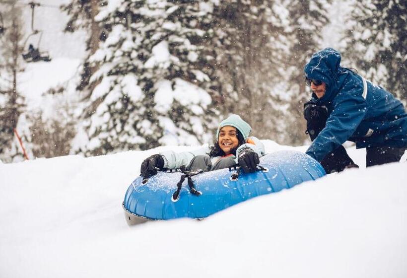 Апартаменты 1 Спальня, Ski Trails 4113