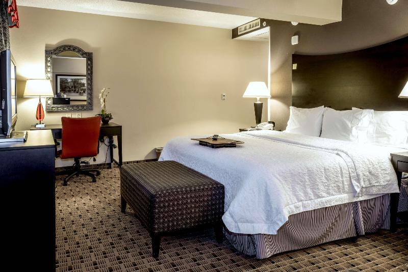 سوئیت با تخت بزرگ, Best Western Plus Hobby Airport Inn And Suites